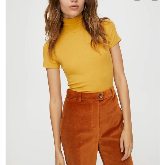 Aritzia Tops - ⭐️🌟Aritzia Short Sleeve Ribbed Turtleneck in Cairo Gold🌟